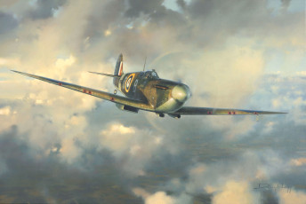 Douglas Bader's Spitfire MkVa