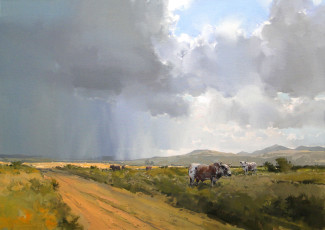 Approaching storm - Middelburg Farm (E.Cape)